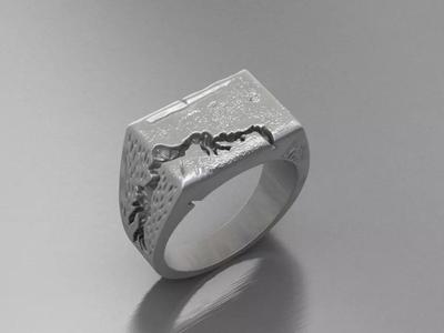 Fraction Ring