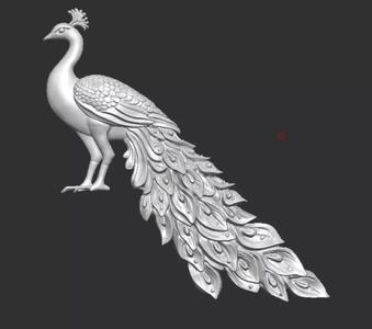 Peacock wall art