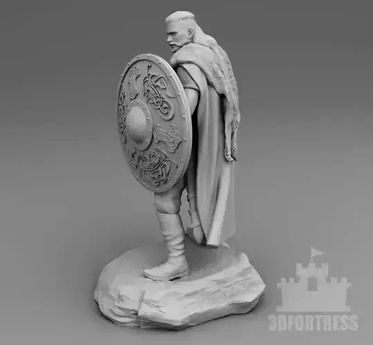 Viking with a shield