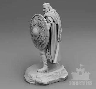Viking with a shield