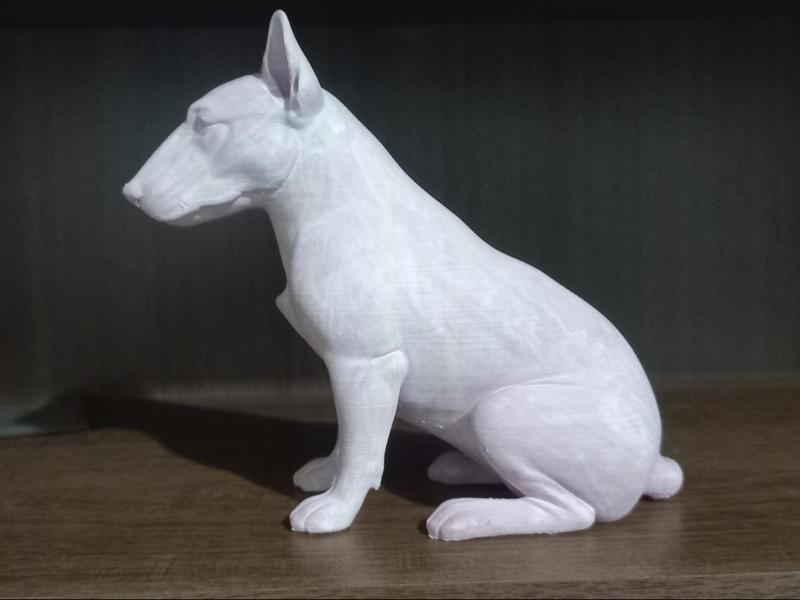 Bullterrier