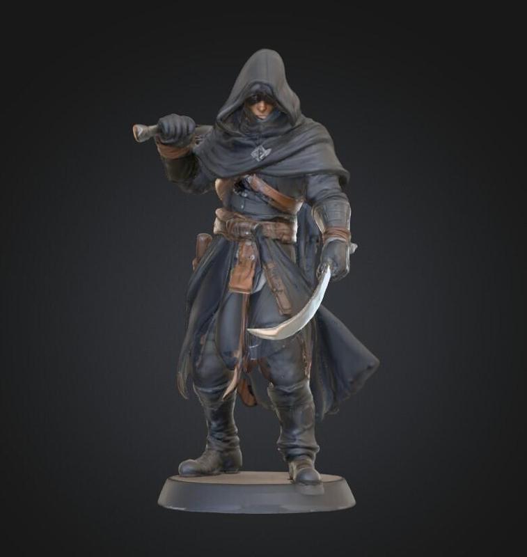 3D Printable Rogue Miniature STL | 28mm Scale Hooded Assassin with Dual Daggers | Tabletop RPG, D&D, Pathfinder Resin Model