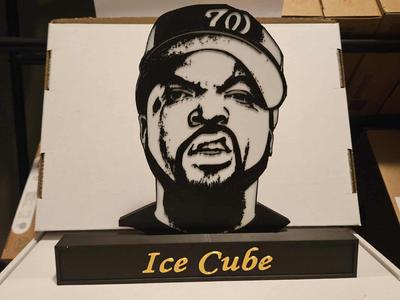 Ice Cube Portrait Display