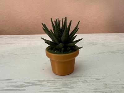 Plant in a Pot