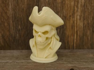 The Captain's Curse – Pirate of Eternity