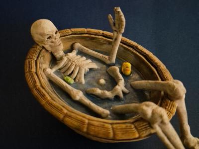 Bath of bones and duck