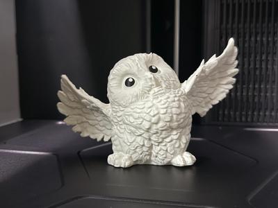 Small cute baby owl