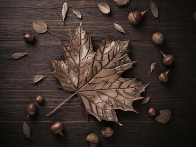 Realistic Autumn Leaf