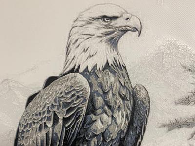 Majestic Bald Eagle