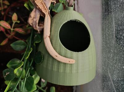 Coconut model for a terrarium