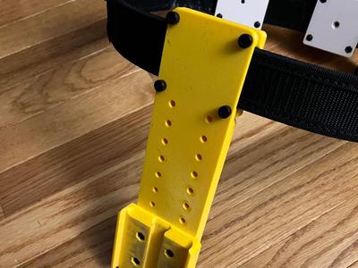 DQLS Holster Mount