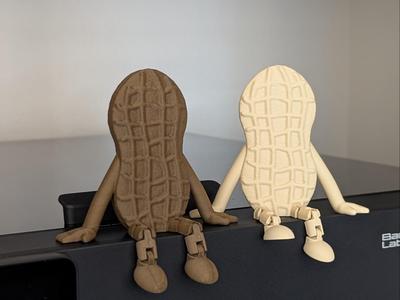 Nutter Butter Buddy