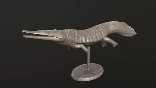 Trematosaurus alligator