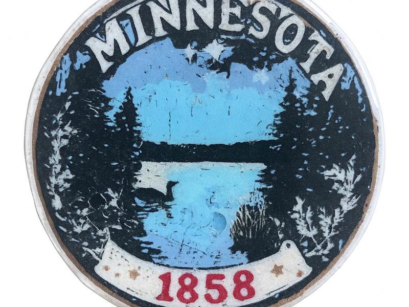 Minnesota Lapel Pin