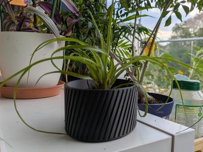 Plant Pot parametric scad