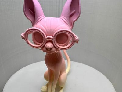 Professor Whiskers – The Scholarly Sphynx