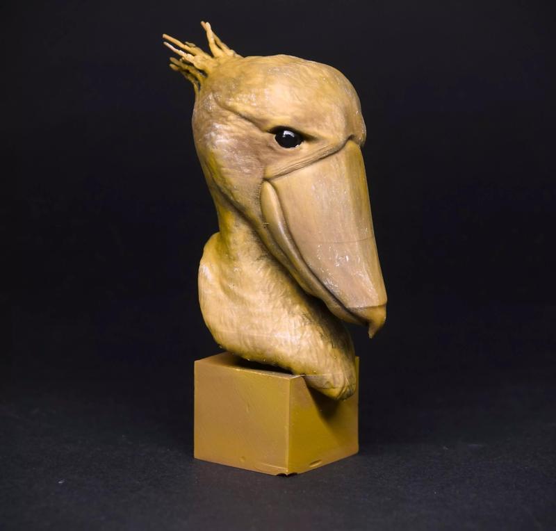 Shoebill 3D print model