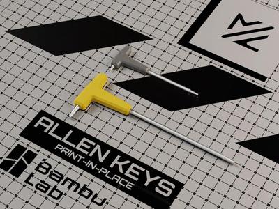 Bambulab H Series Allen key // Print-in-place