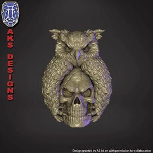 Skull and owl v1 Bas relief for home decoration