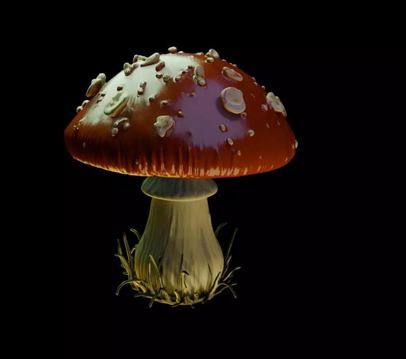 Mushroom 21