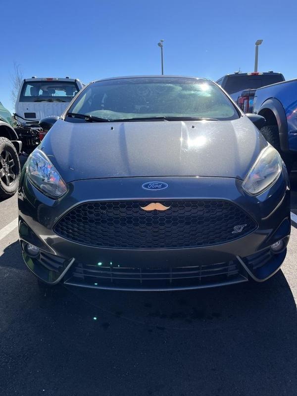 Ford Focus/Fiesta Grill Mustache