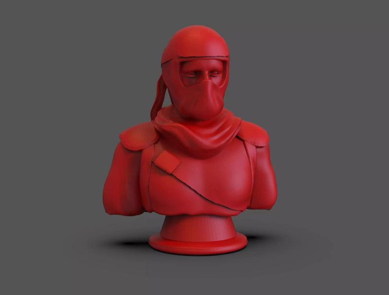 Ninja Bust
