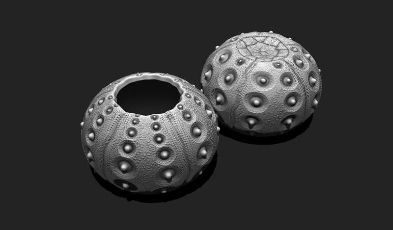 Sea Urchin 02 - STL for 3D Print - Aquarium