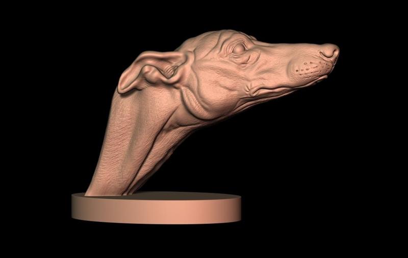 Greyhound dog bust - Greyhound Bust