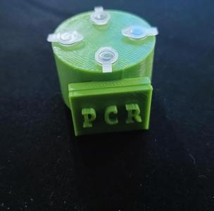 Small sculpture as a homage to the PCR (Polymerase Chain Reaction)