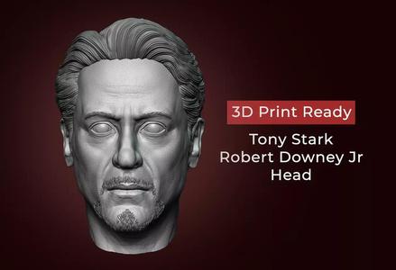Tony Stark - Robert Downey JR Head