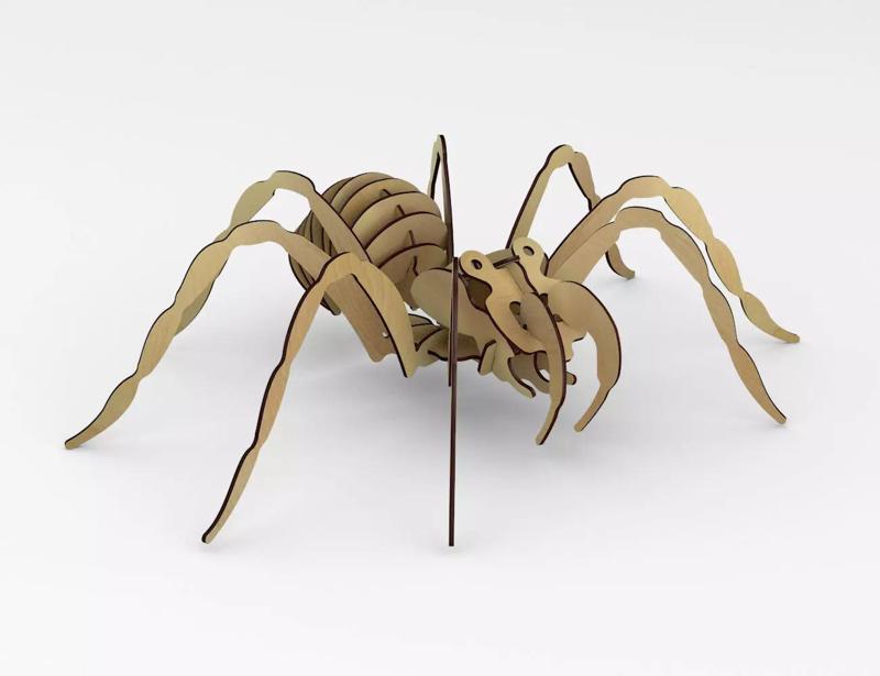 spider - Arana - rompecabezas 3D  puzzle