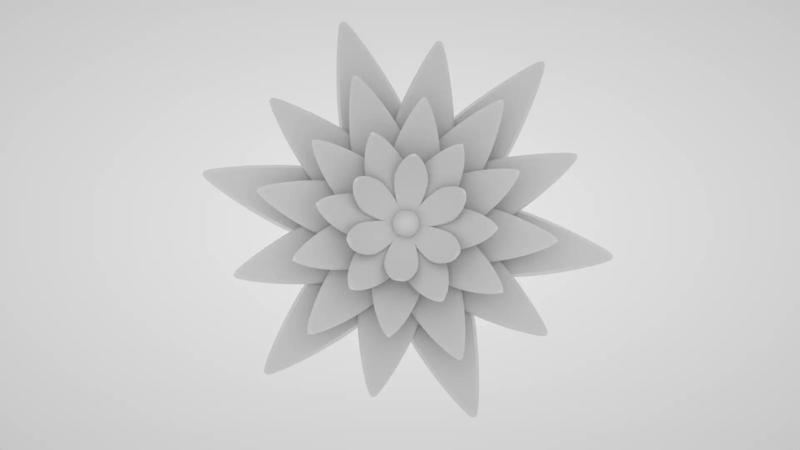 Blooming Flower 9