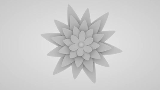Blooming Flower 9