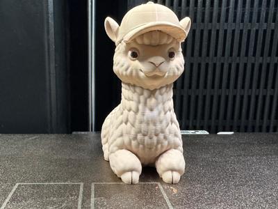 Alpaca with Cap