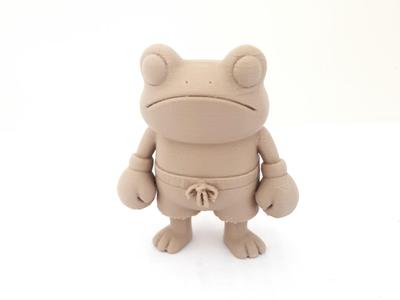 Frog Boxer