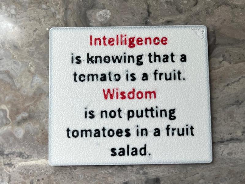intelligence vs widom