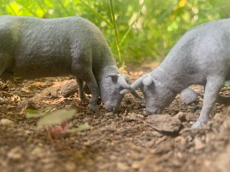 3d Hérens cow - fighting pose