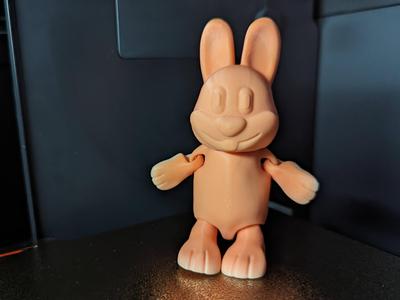 Flexi Bunny