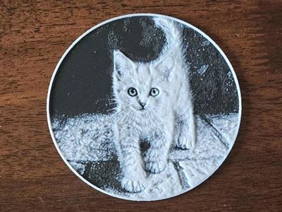 Happy Kitten Coaster