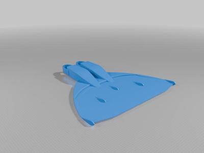 Monopalme à Ailettes - Étude Structurelle et Fonctionnelle