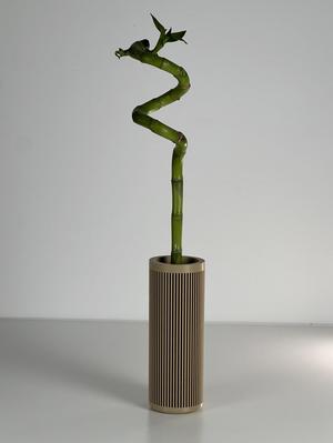 FREE MINIMALIST BAMBU PLANTER