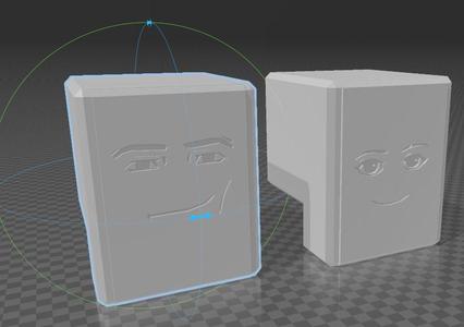 Roblox Face for Mini13
