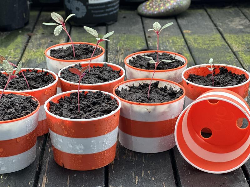 Nursery Pot / Anzuchttöpfchen