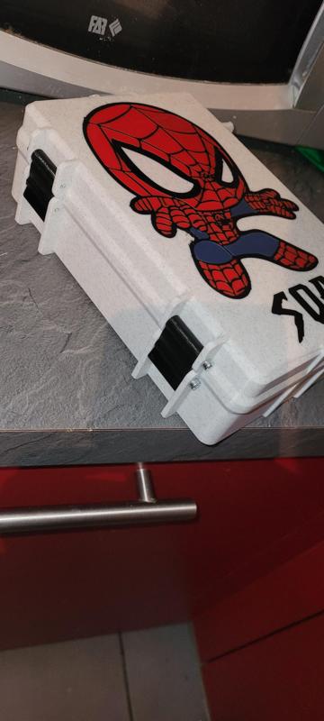 Lunch Box Spidey / Spin