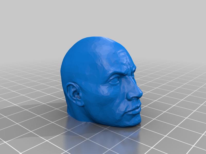 The Rock head