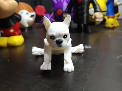 French Bulldog Articulated