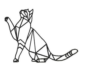 geometric cat