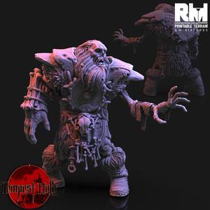 Tempest Hold - Undead Hill Giant
