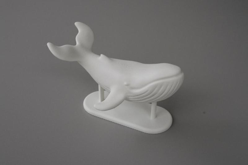 Whale
