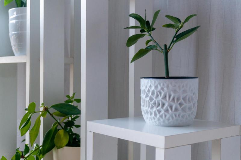 Design Flowerpot Cover with Voronoi Pattern